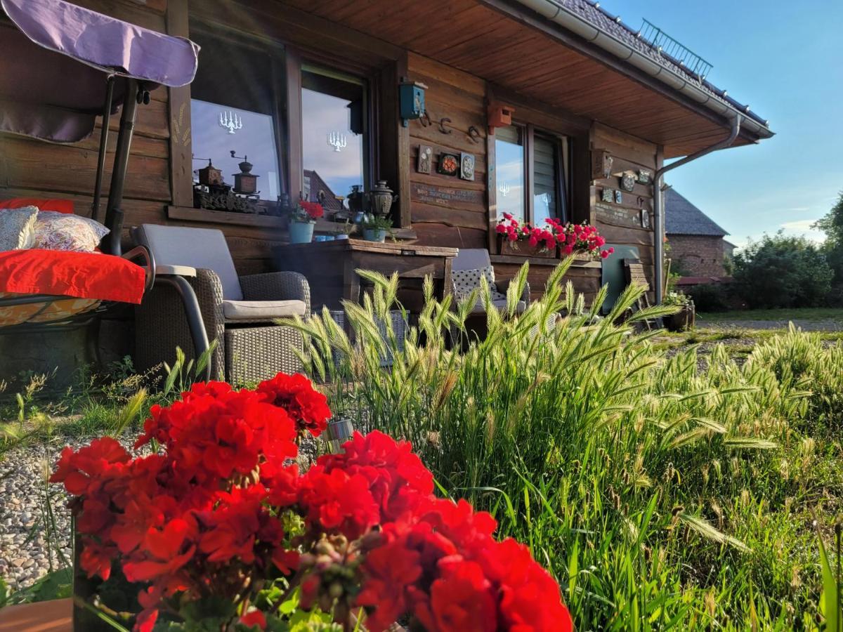 Dom Goscinny Ptaszarnia - Natura-Free Parking Świnoujście Exterior foto