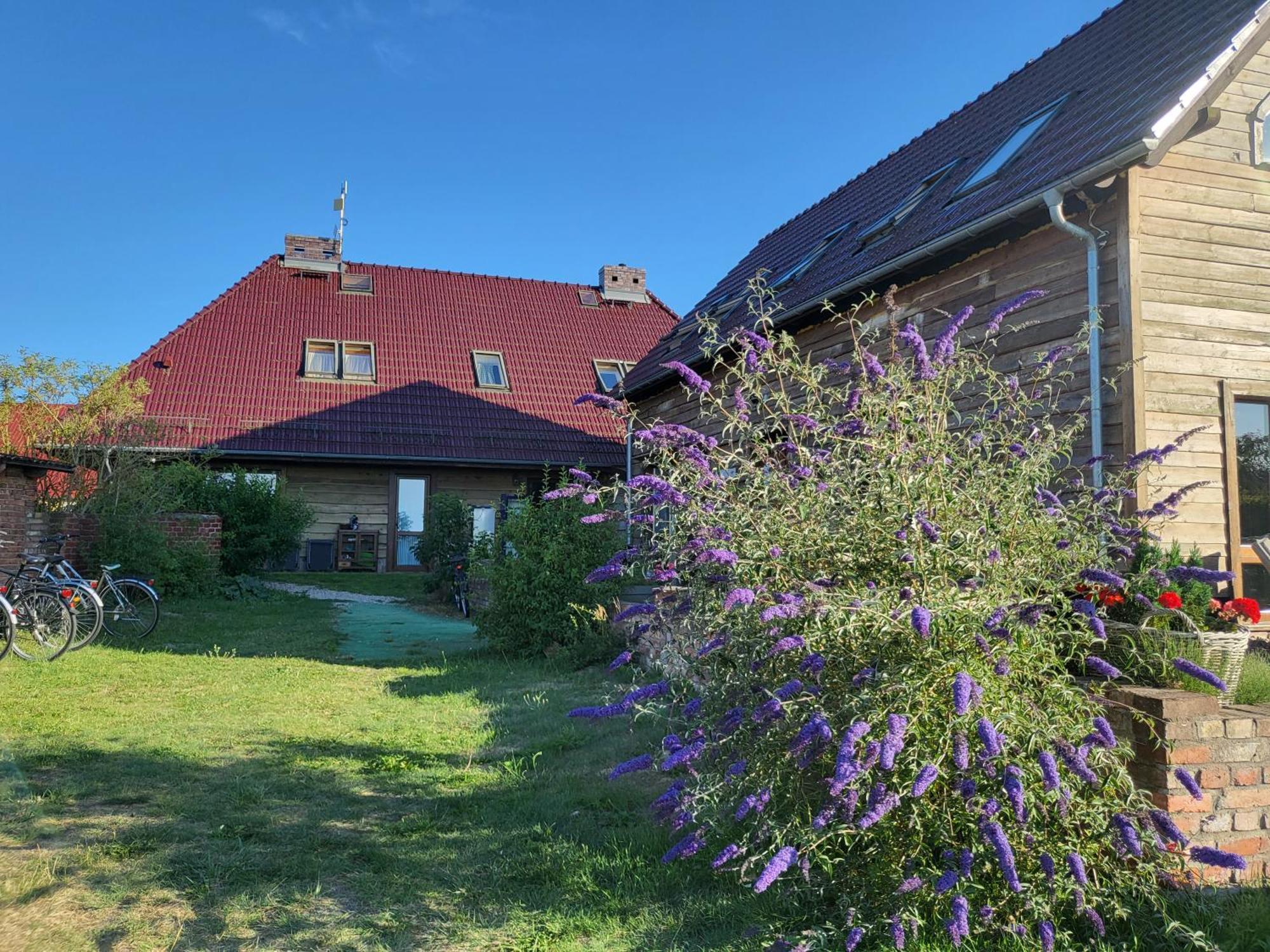 Dom Goscinny Ptaszarnia - Natura-Free Parking Świnoujście Exterior foto