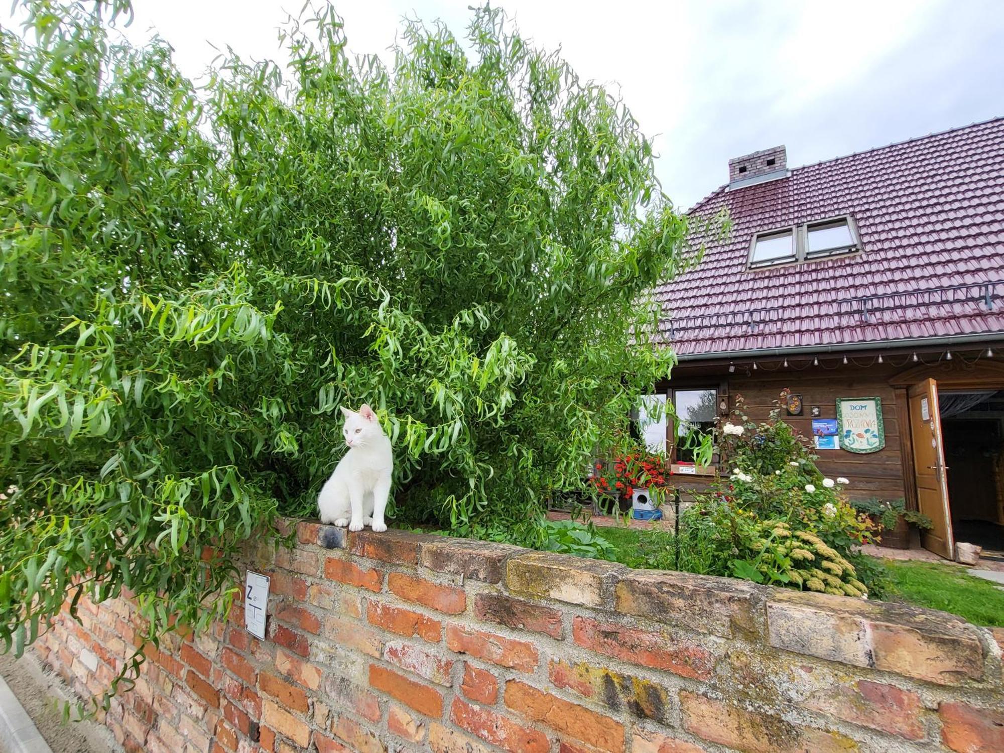 Dom Goscinny Ptaszarnia - Natura-Free Parking Świnoujście Exterior foto