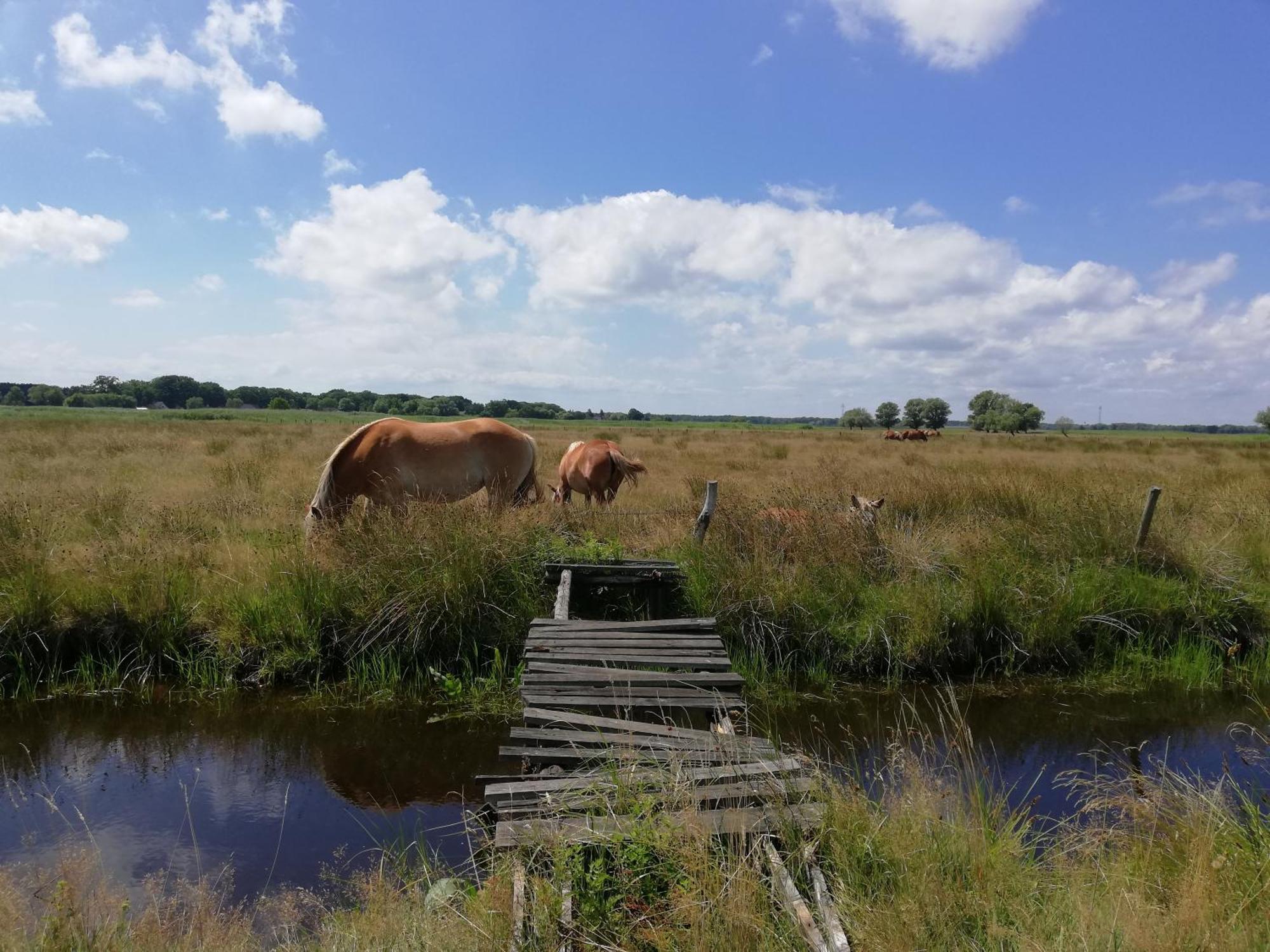 Dom Goscinny Ptaszarnia - Natura-Free Parking Świnoujście Exterior foto
